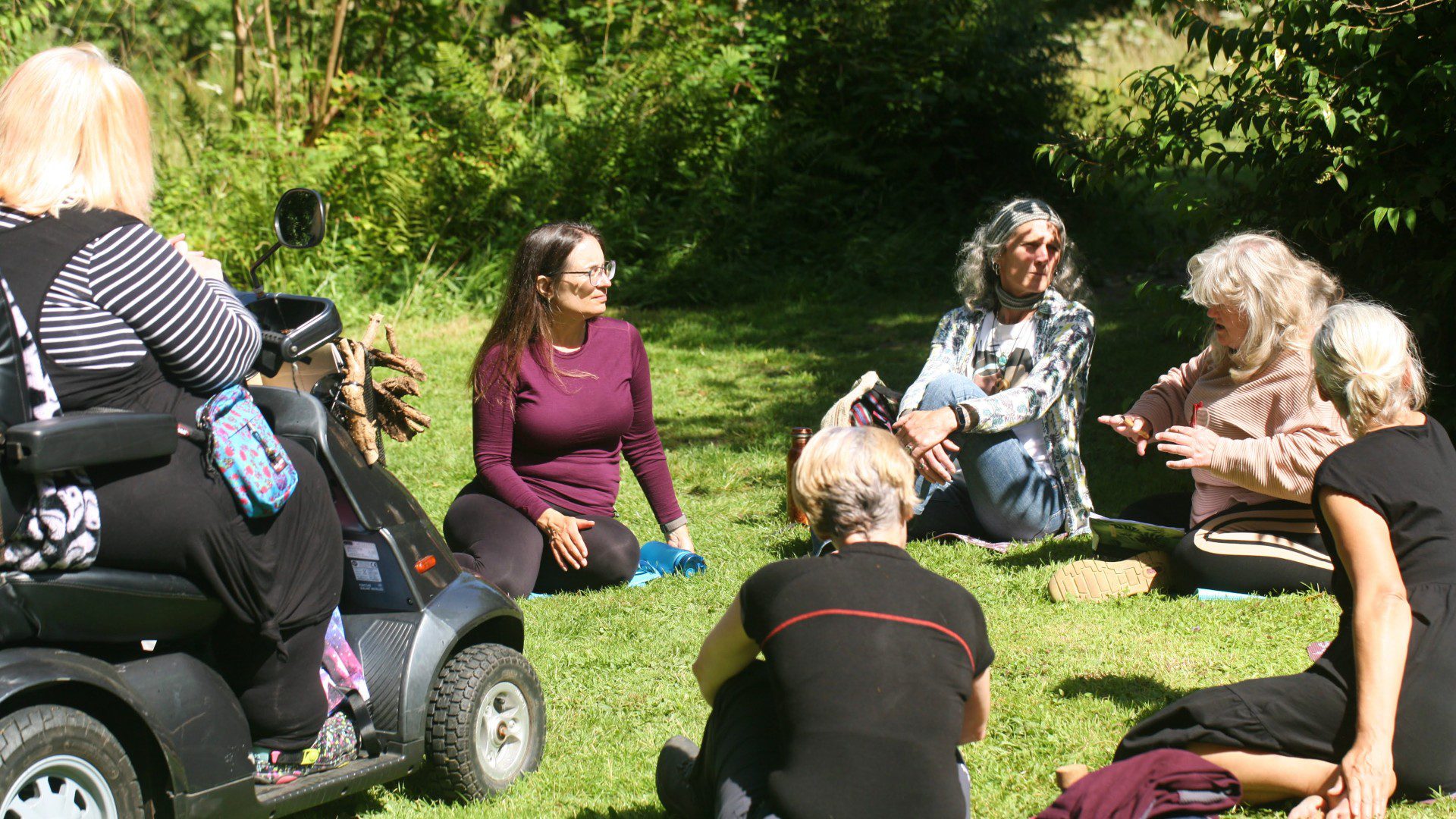 Participants at one of our accessible events at Treborth Botanic Garden